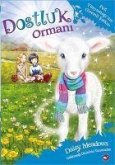 Dostluk Ormani 12 - Pufi Yünyumaginin Gizemli Sarkisi