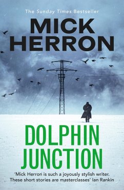 Dolphin Junction - Herron, Mick