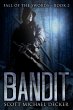 The Bandit (eBook, ePUB) - Bild 1
