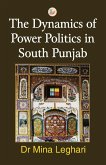 The Dynamics of Power Politics in South Punjab (eBook, PDF)