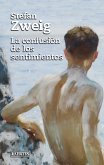 La confusión de los sentimientos (eBook, ePUB)