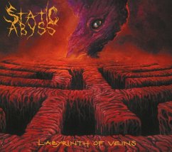 Labyrinth Of Veins - Static Abyss