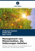 Management von Miniermotten, die Süßorangen befallen