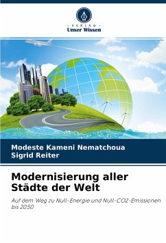 Modernisierung aller Städte der Welt - Kameni Nematchoua, Modeste;Reiter, Sigrid