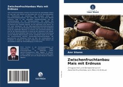 Zwischenfruchtanbau Mais mit Erdnuss - Shams, Amr