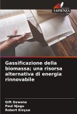 Gassificazione della biomassa; una risorsa alternativa di energia rinnovabile