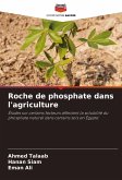 Roche de phosphate dans l'agriculture