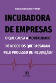 Incubadora de empresas (eBook, ePUB)