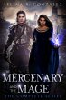The Mercenary and the Mage - Bild 1