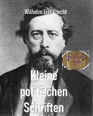 Kleine politischen Schriften (eBook, ePUB)