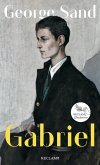 Gabriel. Ein Dialogroman (eBook, ePUB)