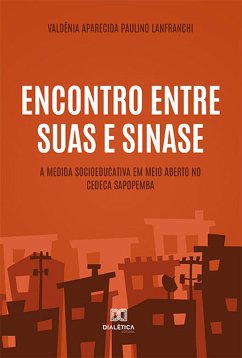 Cover Encontro entre Suas e Sinase (eBook, ePUB)