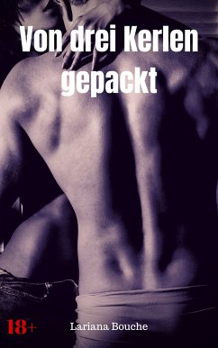 Von drei Kerlen gepackt (eBook, ePUB) - Bouche, Lariana