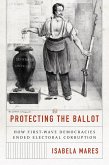 Protecting the Ballot (eBook, PDF)