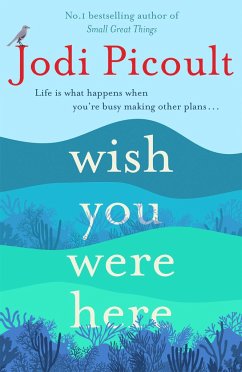 Wish You Were Here - Picoult, Jodi