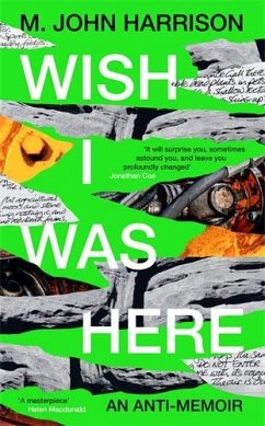 Wish I Was Here - Harrison, M. John