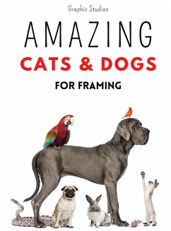 Amazing Cats and Dogs for Framing - Studios, Graphic