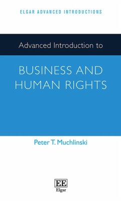 Cover Advanced Introduction to Business and Human Rights
