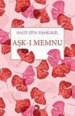 Ask-i Memnu