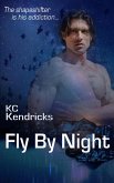 Fly By Night (The Sundown Saga, #5) (eBook, ePUB)
