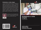 Endodonzia a visita singola