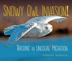 Snowy Owl Invasion! - Markle, Sandra