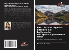 Cover Flocculazione organica ausiliaria nel trattamento dell'approvvigionamento idrico