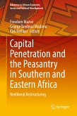 Capital Penetration and the Peasantry in Southern and Eastern Africa (eBook, PDF)