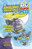 DC League of Super-Pets: The Official Activity Book (DC League of  Super-Pets Movie): Includes puzzles, posters, and over 30 stickers!