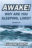 Awake! Why are you sleeping, Lord?: A Bible Study from Psalm Forty-Four for small groups or personal devotions.