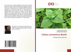 Coleus aromaticus Benth - Ferreira, Maycon Lopes;de Lima, Thaylanna Pinto;Everton, Gustavo Oliveira