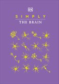 Simply the Brain