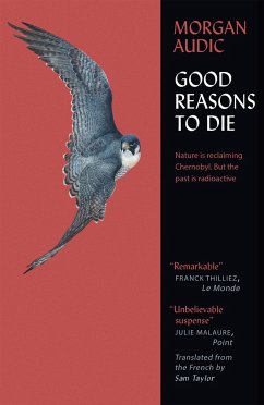 Good Reasons to Die - Audic, Morgan