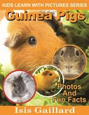 Guinea Pigs Photos and Fun Facts for Kids (Kids Learn With Pictures, #49) (eBook, ePUB) Guinea Pigs Photos and Fun Facts for Kids (Kids Learn With Pictures, #49) (eBook, ePUB)