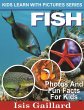 Fish Photos and Fun Facts for Kids... - Bild 1