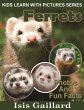 Ferrets Photos and Fun Facts for Kids... - Bild 1