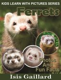 Ferrets Photos and Fun Facts for Kids (Kids Learn With Pictures, #46) (eBook, ePUB)