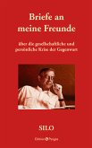 Briefe an meine Freunde über die gesellschaftliche und persönliche Krise der Gegenwart (eBook, PDF)