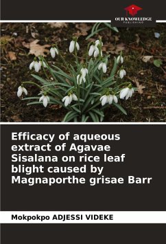 Efficacy of aqueous extract of Agavae Sisalana on rice leaf blight caused by Magnaporthe grisae Barr - Adjessi Videke, Mokpokpo