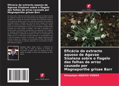 Eficácia do extracto aquoso de Agavae Sisalana sobre o flagelo das folhas de arroz causado por Magnaporthe grisae Barr - Adjessi Videke, Mokpokpo