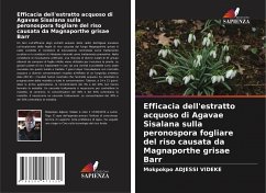 Efficacia dell'estratto acquoso di Agavae Sisalana sulla peronospora fogliare del riso causata da Magnaporthe grisae Barr - Adjessi Videke, Mokpokpo