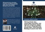 Wirksamkeit des wässrigen Extrakts von Agavae Sisalana gegen die durch Magnaporthe grisae Barr verursachte Blattpyricularia bei Reis