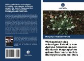 Wirksamkeit des wässrigen Extrakts von Agavae Sisalana gegen die durch Magnaporthe grisae Barr verursachte Blattpyricularia bei Reis
