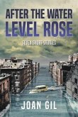 After the Water Level Rose (eBook, ePUB)