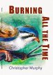 Burning All the Time (eBook, ePUB) - Bild 1
