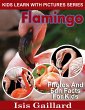 Flamingo Photos and Fun Facts for Kids... - Bild 1