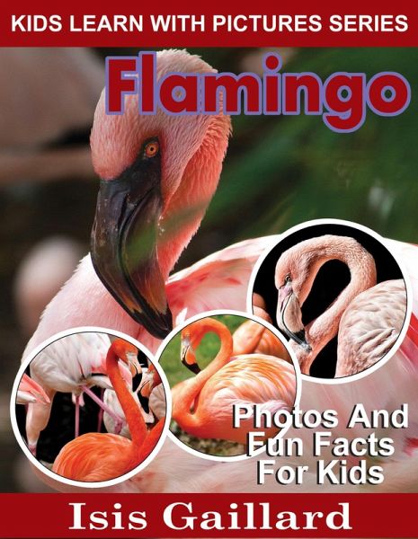 Flamingo Photos and Fun Facts for Kids (Kids Learn With Pictures, #85) (eBook, ePUB)
