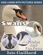 Swans Photos and Fun Facts for Kids... - Bild 1