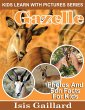 Gazelle Photos and Fun Facts for Kids... - Bild 1