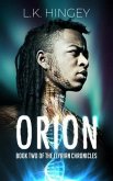 ORION (eBook, ePUB)